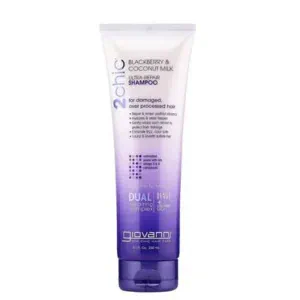 2Chic Repairing Shampoo GIOVANNI